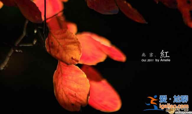 中国最美的秋景地，是时候准备出发了！？