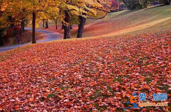 秋天的东北，有你意想不到的美景！？