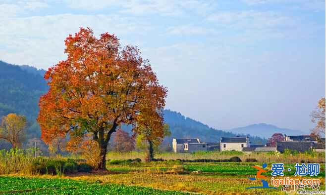 中国最美的秋景地，是时候准备出发了！？
