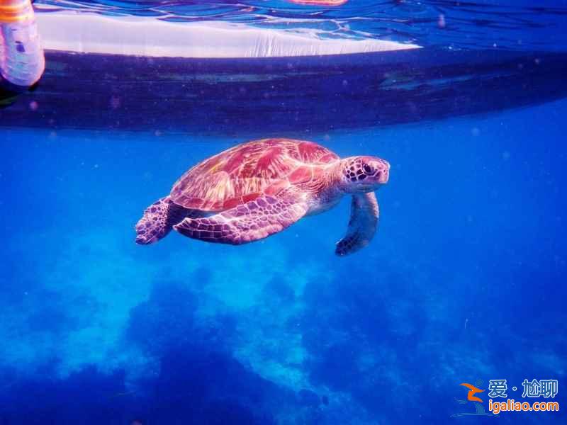 东南亚旅游比国内便宜！选个人少景美的海岛出发吧？