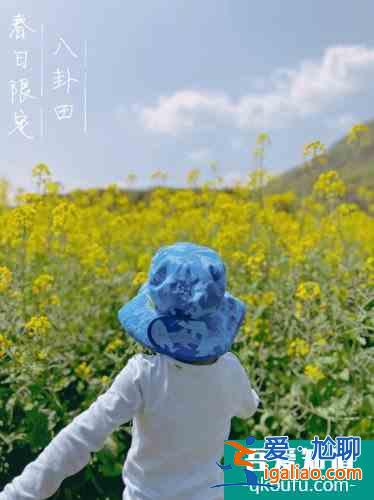 杭州遛娃神仙般镜的八卦田亲子游？