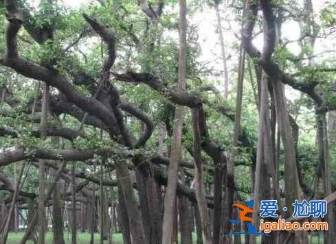 中国十大诡异之地：千万不要去？