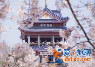 中国五座大佛，震撼神圣！？