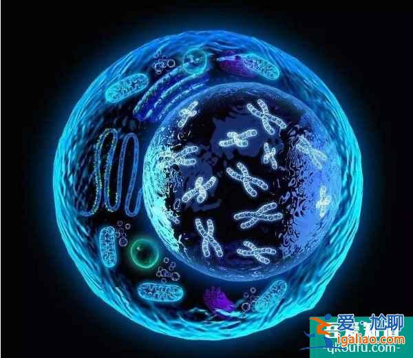 试管婴儿专家：需要赴美几次，根据具体方案而定？