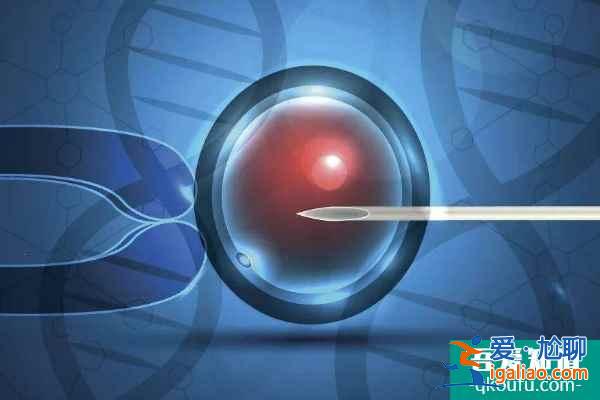 试管婴儿专家：需要赴美几次，根据具体方案而定？