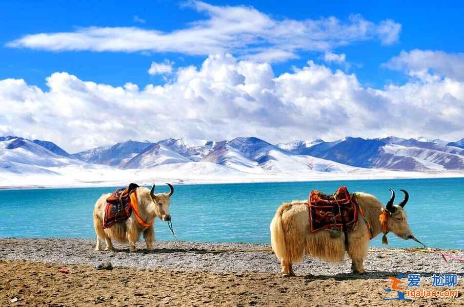 【5A景区】最新最全186处国家5A级旅游景区清单？