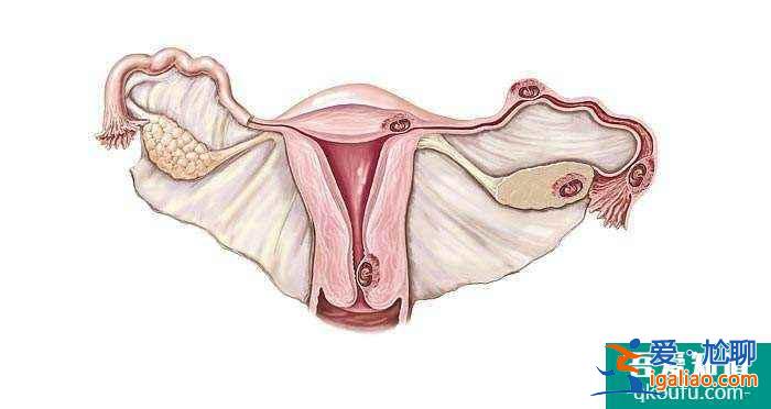 为何进行试管婴儿的女性们容易黄体功能不全？