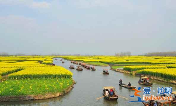 中国最美的十大油菜花海，赴一场花海盛宴？