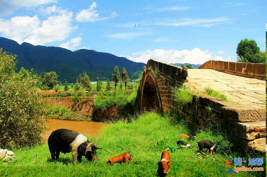 中国热门旅游城市top10，你去过哪些？？