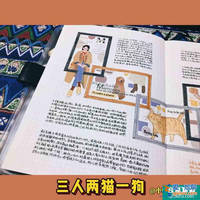 【手帐分享】A5拼贴+排版明星大侦探还是牛的？
