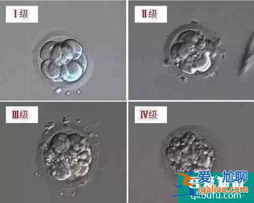 试管婴儿胚胎评级与成功率之间有什么关系？？