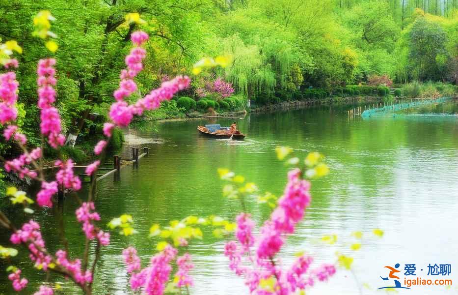 寻找我的“桃花运”,中国赏桃花全攻略? 寻找我的“桃花运”,中国赏桃花全攻略?