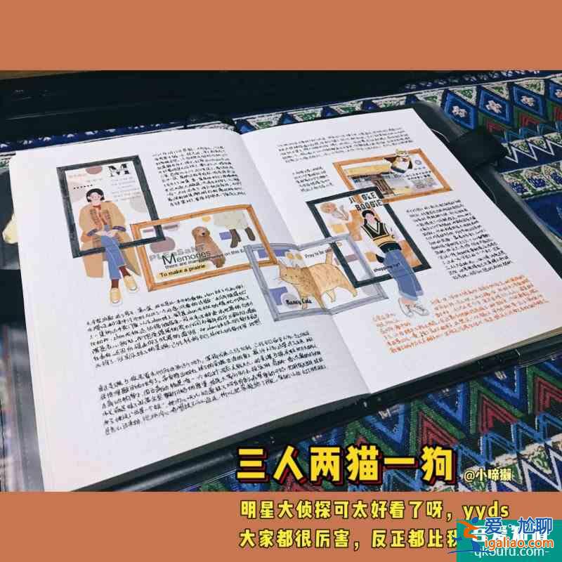 【手帐分享】A5拼贴+排版明星大侦探还是牛的？