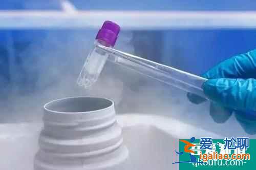 试管婴儿移植过程中鲜胚、冻胚如何选择？？