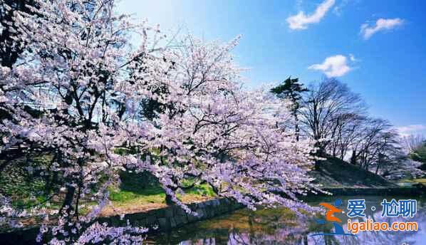 日本那些重要的节日，围观啦！？