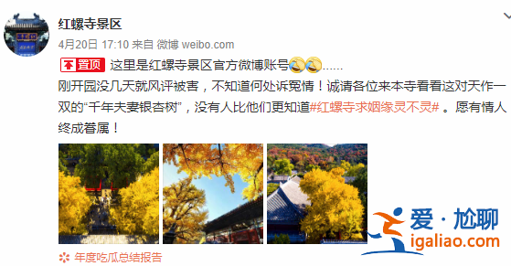 走进明星丨屈楚萧恋情带动红螺寺上热搜 官博调侃：风评被害