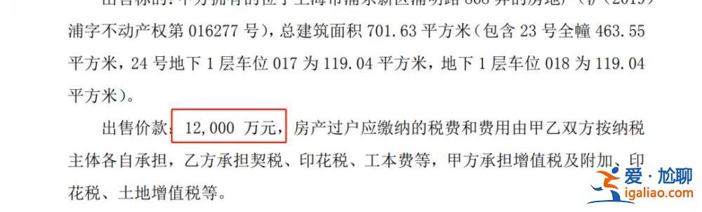 山东神秘富豪1.2亿买下上海700平江景豪宅！这位大佬是何来头？？