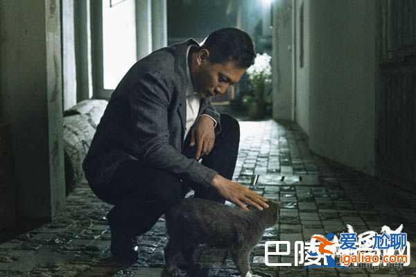 电视剧老男孩什么时候播？林依晨撩糙汉大叔刘烨！？