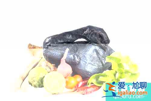 冬季滋补汤何首乌黑豆乌鸡汤？