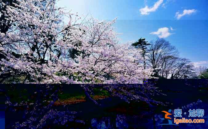 日本重要的节日，你不来看看吗？？