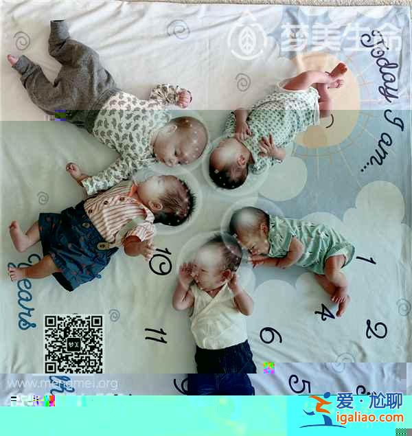 试管婴儿资讯：美联航7月8日恢复上海⇄旧金山航线？