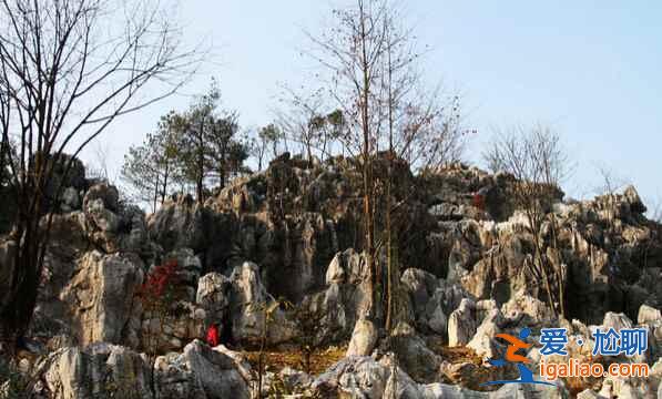 中国四大石林，看尽自然鬼斧神工？