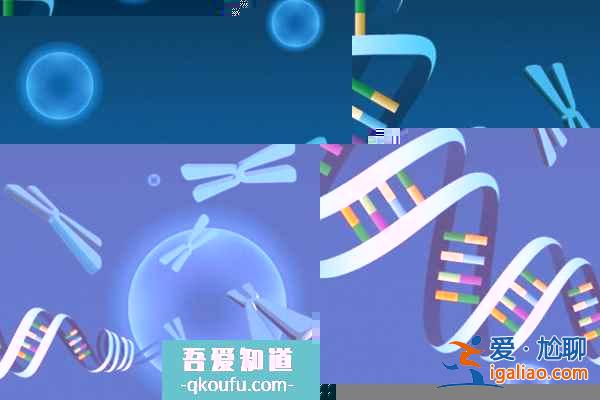 去做试管婴儿生双胞胎，费用是多少？？