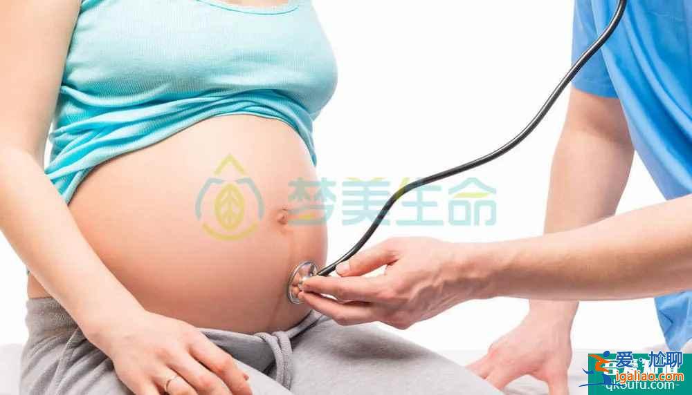 生命告诉您：试管婴儿成功与否与季节无关？