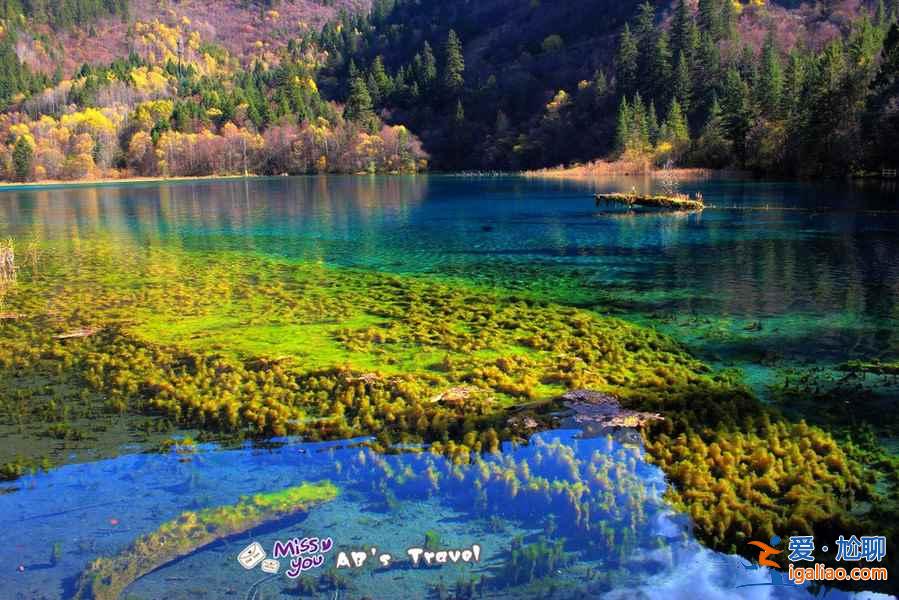 【淡季门票价格】秋冬季节热门景区淡季门票价格及时间？