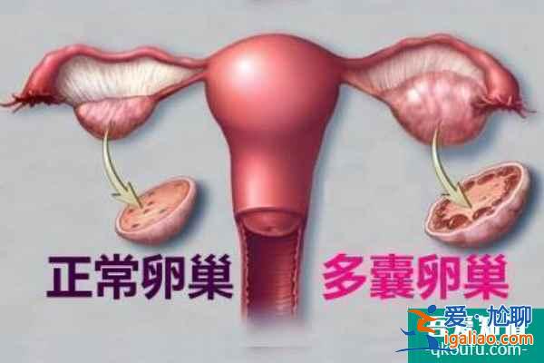 试管科普：冻胚移植适用人群及操作流程解析！？