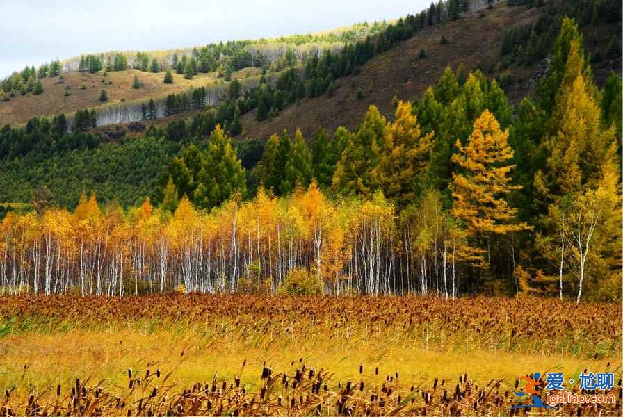 国内最美的四大高原秋景，你都去过了吗？