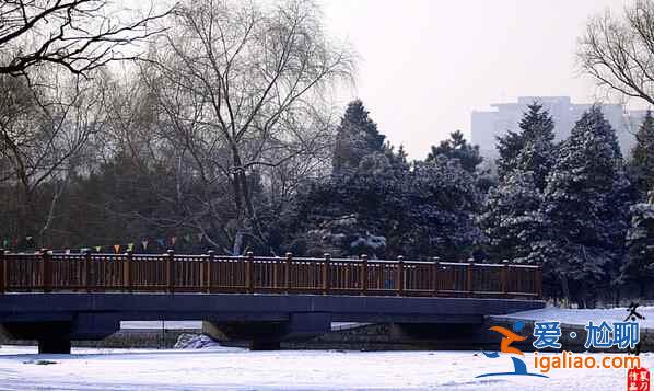 盘点国内赏雪景好去处？