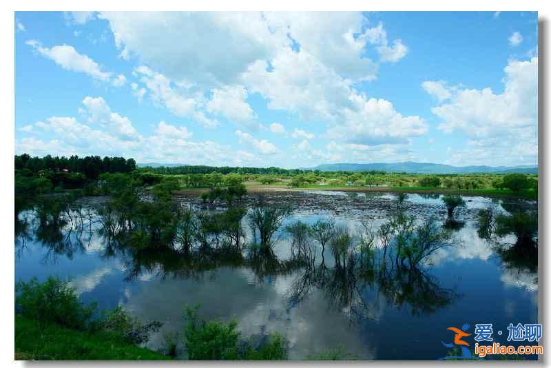 纯静美：中国最美六大沼泽湿地？