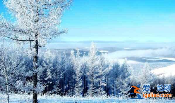 盘点国内赏雪景好去处？