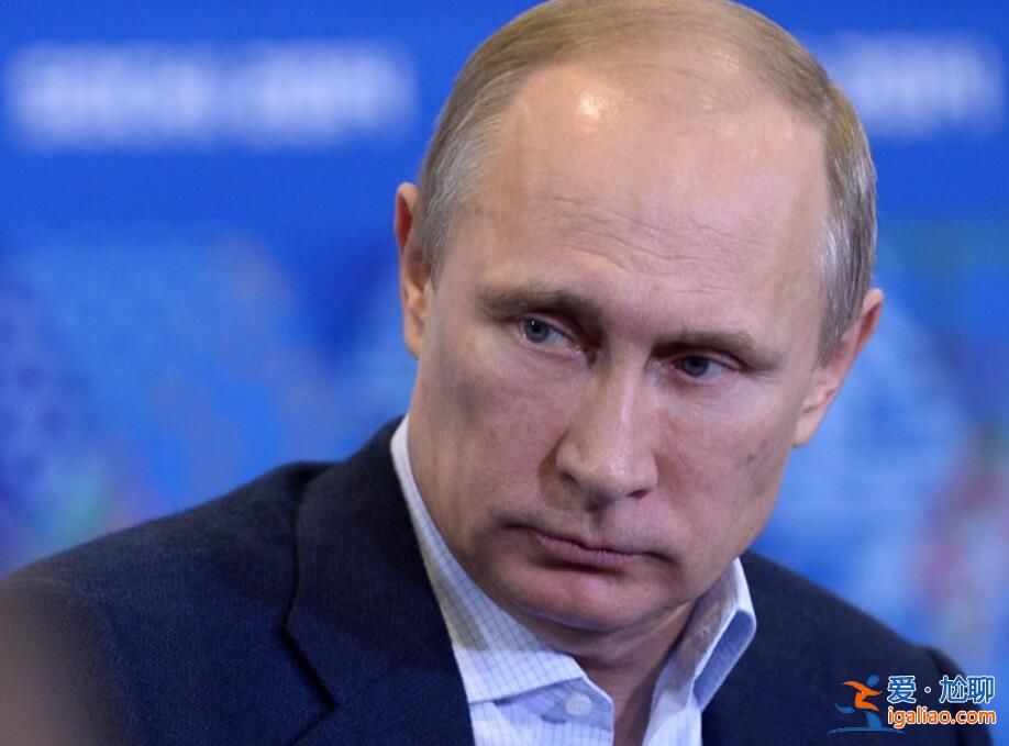 美国施压后泽连斯基表示愿意出席G20，满足5个条件就能谈判[俄罗斯]？