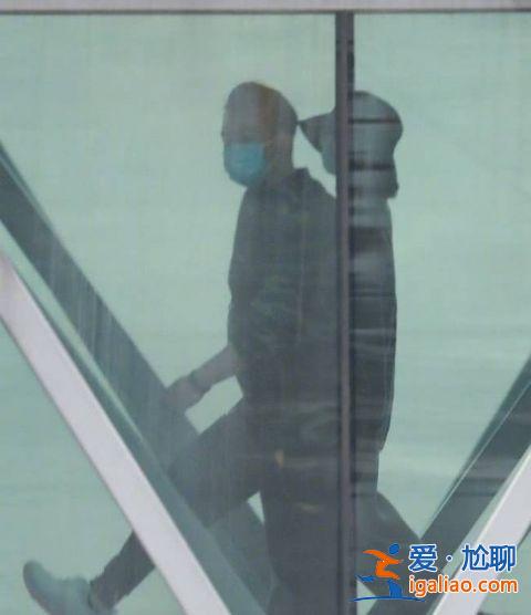 郑恺苗苗机场牵手 苗苗小腹凸起引网友猜测