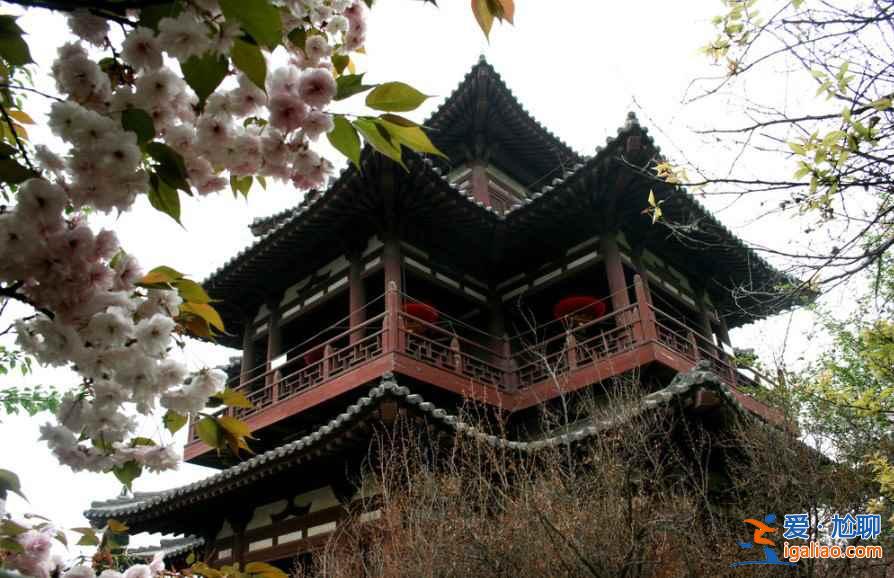 2017西安去哪赏樱花，2017西安樱花推荐地？