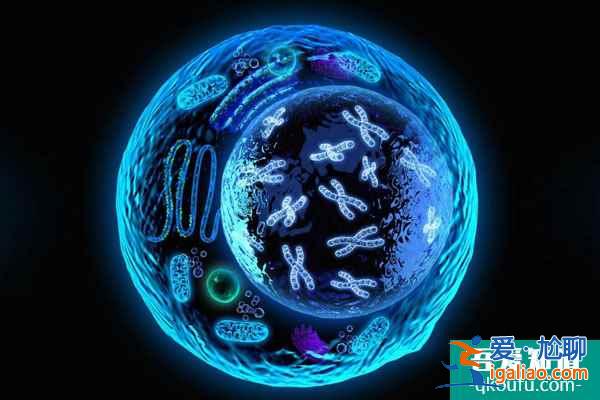 定制试管婴儿科学治疗步骤？