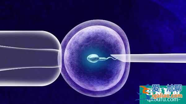 定制试管婴儿科学治疗步骤？