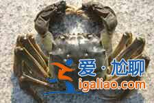 红烧螃蟹的做法？