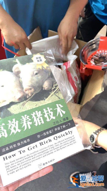 宁静给节目组送猪饲料是怎么回事 宁静为什么会送猪饲料