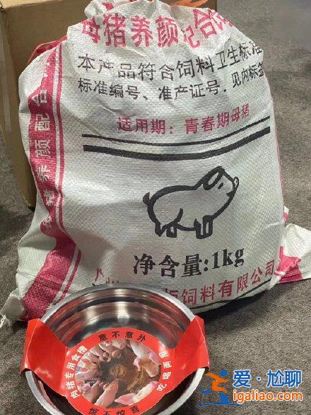 宁静给节目组送猪饲料是怎么回事 宁静为什么会送猪饲料
