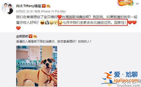 郭碧婷与向佐领证计划再次受阻，知情人爆料郭碧婷预产期在9月份，要当未婚妈妈了？