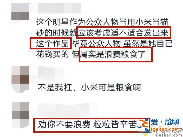 不愧把芒果吃涨价的女人！小米充当宠物猫砂，于文文被网友斥责浪费粮食