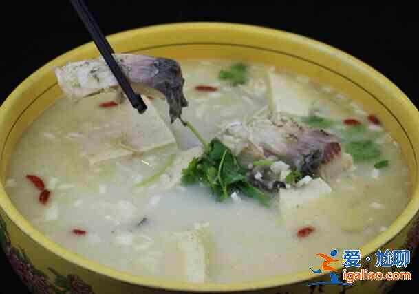 鲢鱼炖豆腐？