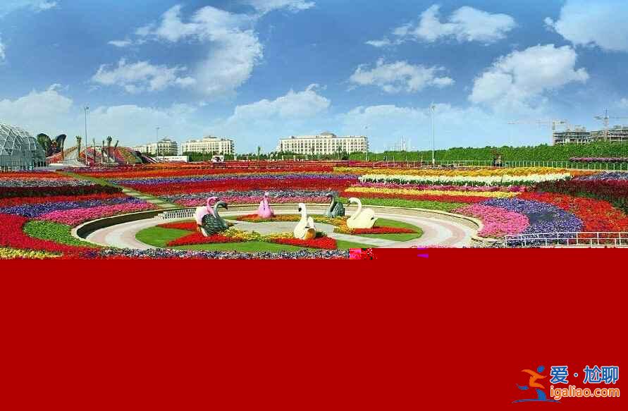土豪迪拜又来了！建世界最大最美花园（多图）？