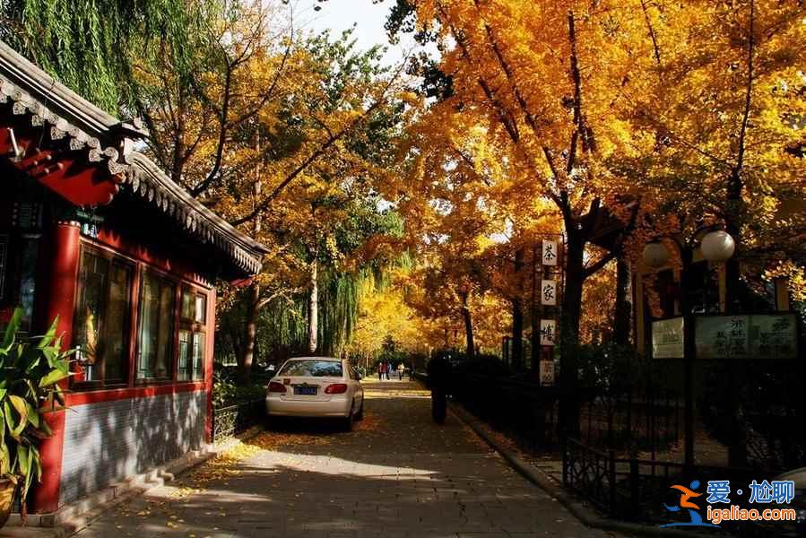 最美的北京秋色，你赏过几个？