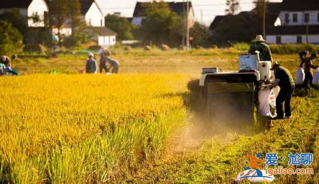 周庄、乌镇等13个江南古镇联合申遗，你去过哪几个？？
