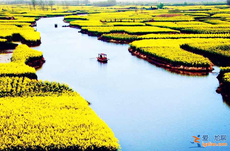 中国赏油菜花地图，赴一场花田盛宴！？