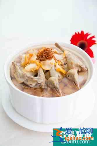 徽菜传统美食——黄山炖鸽的做法？